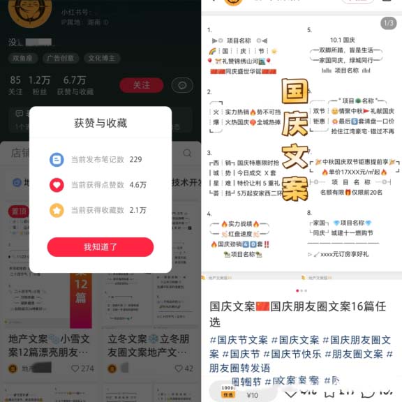 圖片[2]-朋友圈文案模板，高單價收入達到4.8萬以上!虛擬資料副業(yè)賺錢項目拆解-免費分享論壇-孫裔蒙