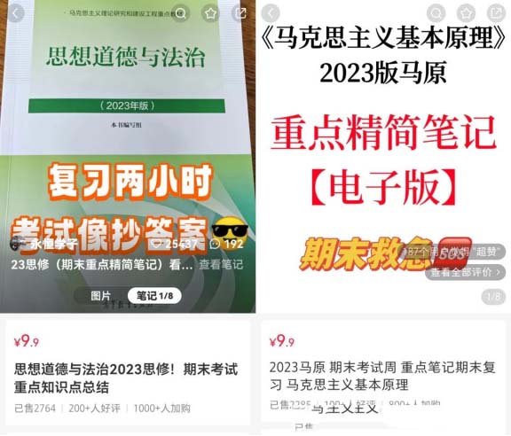 這個資料真厲害，1w粉絲收益10w+!虛擬資料副業(yè)項目拆解-免費分享論壇-孫裔蒙